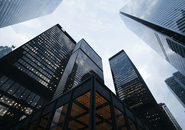 Larger Organisations
